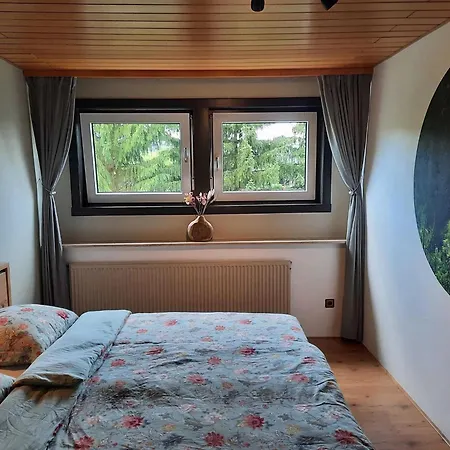 Apartment Partment Anear Willingen With Private Terrace Willingen (Upland)