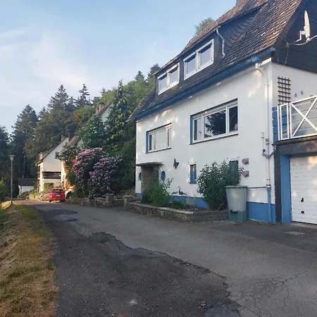 Partment Anear Willingen With Private Terrace Apartment