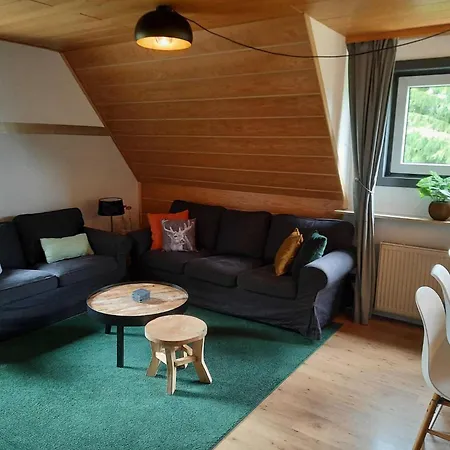 Partment Anear Willingen With Private Terrace *