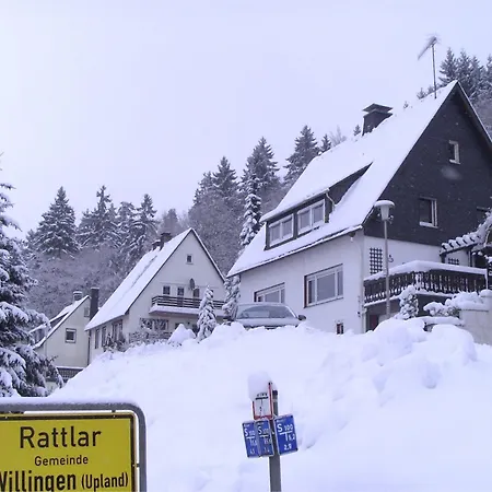 Partment Anear With Private Terrace Willingen (Upland)