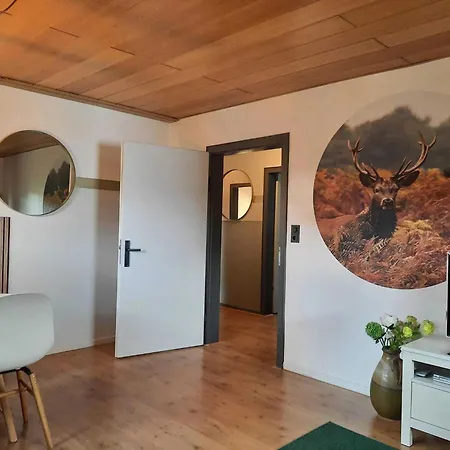 Apartment Partment Anear Willingen With Private Terrace