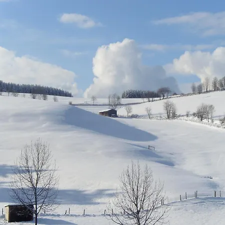 Partment Anear Willingen With Private Terrace Apartment *