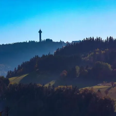 In Der Naehe Von Apartament Willingen (Upland)