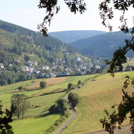 Apartment Partment Anear With Private Terrace Willingen (Upland)
