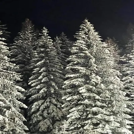 In Der Naehe Von * Willingen (Upland)