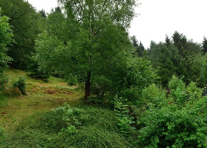 In Der Naehe Von فيلنغن