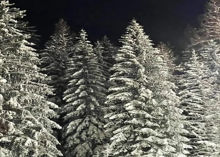 In Der Naehe Von * فيلنغن